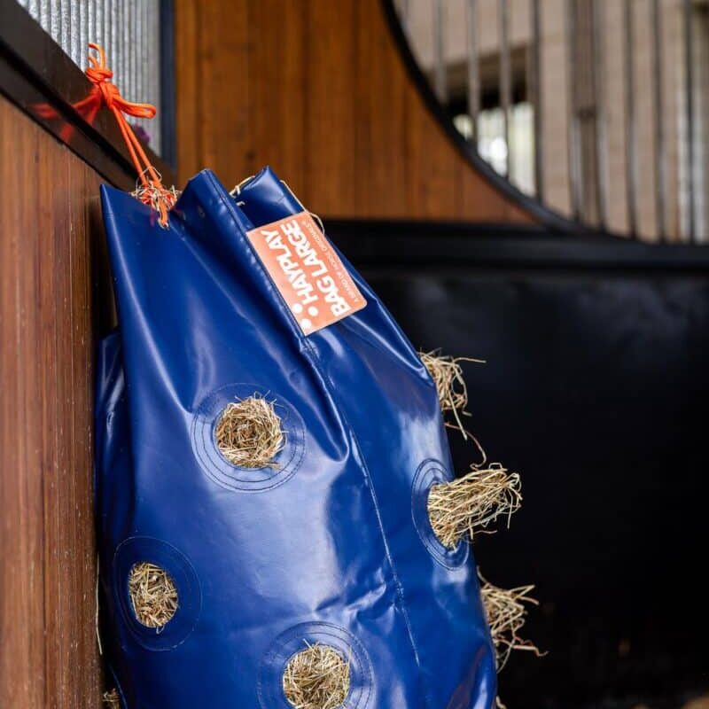 Horse Originals - DaKo Fotografie (Webformaat) 18