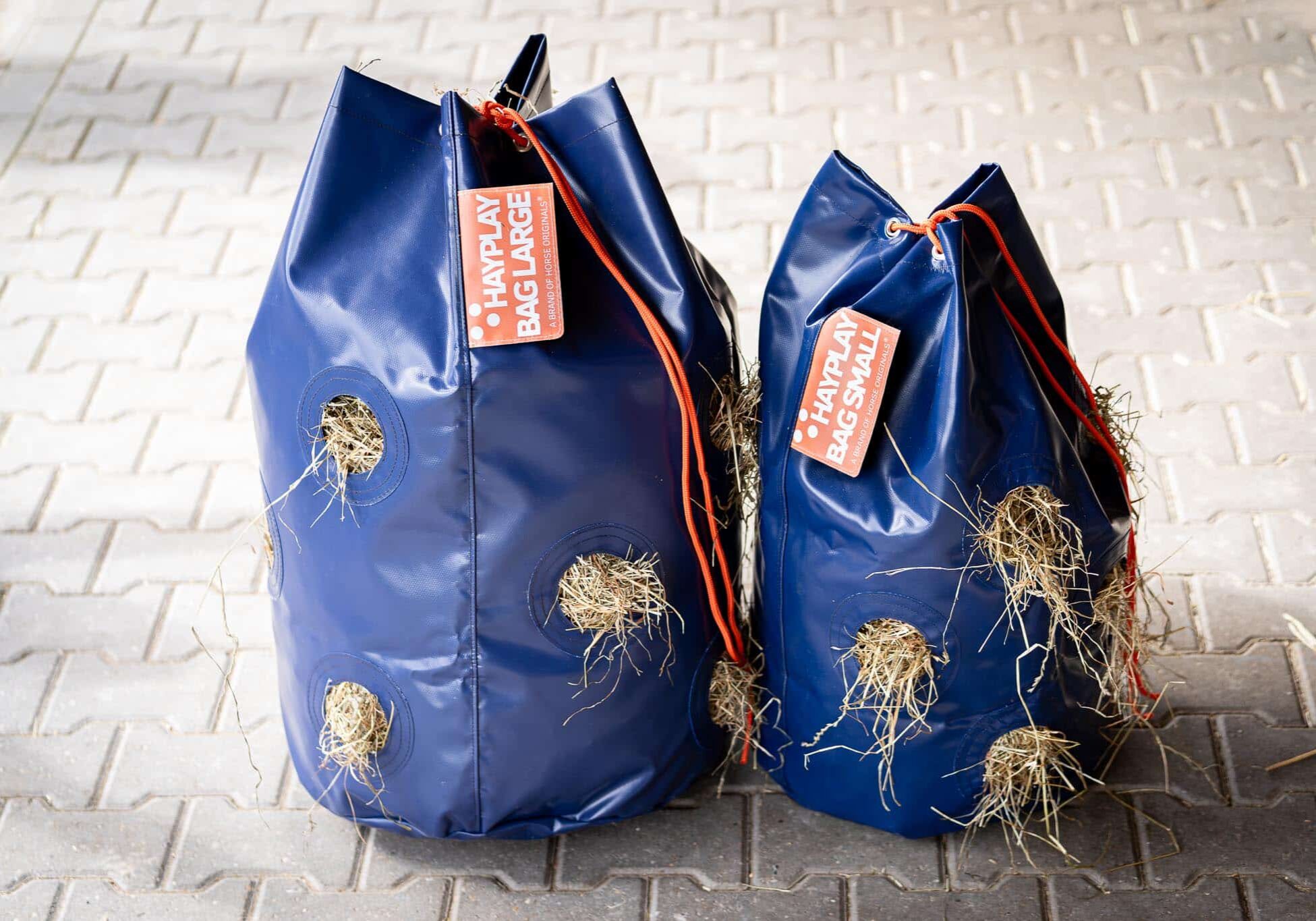 Horse Originals - DaKo Fotografie (Webformaat) 26