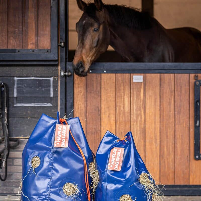 Horse Originals - DaKo Fotografie (Webformaat) 27