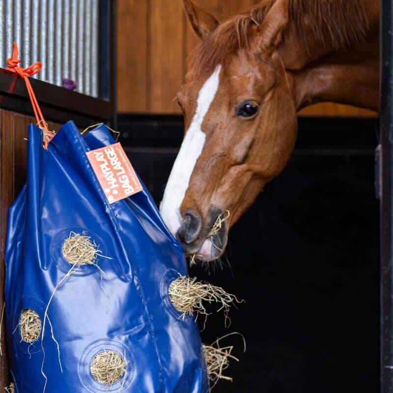Horse Originals - Less Dust Inhalation