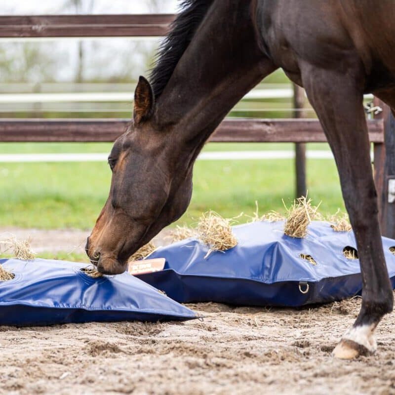 Horse Originals - Natural Eating Posture Horse Originals - Natural Eating Posture