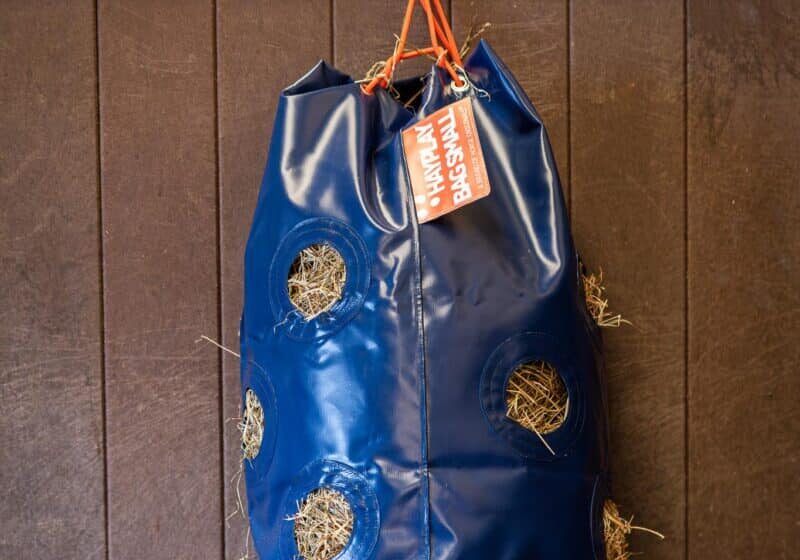 Horse Originals - No Wastage Of Hay